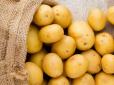Найкращі сорти картоплі, які дадуть великий врожай