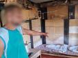 Прикували ланцюгом і грозили згодувати свиням: У Росії фермери вирішили відправити свого працівника на 