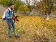 Дачникам на замітку! Чим обприскати дерева восени, щоб врятувати сад від парші та гнилі на весь сезон