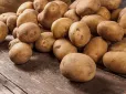 Дачникам на замітку! Восени внесіть у ґрунт цю суміш - і чекайте на рекордний врожай картоплі наступного року