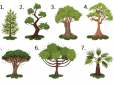 Перевірте себе! Вибір дерева відкриє глибинні страхи та сильні сторони вашого характеру