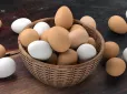 Яйця корисні, але не для всіх: Кому варто обмежити їх споживання