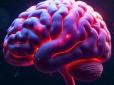 Чоловічий мозок старіє швидше за жіночий: Вчені знайшли несподіваний спосіб уповільнити процес
