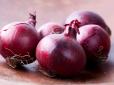 Дачникам на замітку: Названо найкращий сорт червоної цибулі для посіву