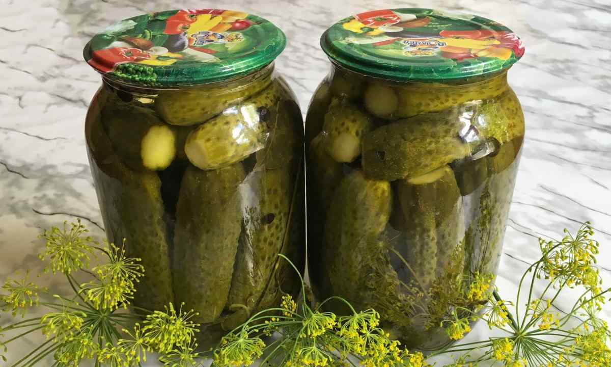 Це може здивувати! Як солоні огірки реально впливають на  вагу