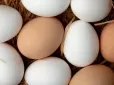 Білі чи коричневі: Ось які яйця насправді корисніші та чим вони відрізняються