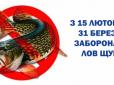 Правила риболовлі у лютому: За який улов можна отримати штраф