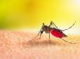 Це може здивувати! Коли і чому комарі почали пити людську кров