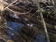 Лікувався після поранення вдома: На Львівщині у водоймі знайдено тіло військового