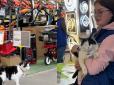 У Кривому Розі кішка працює в супермаркеті 